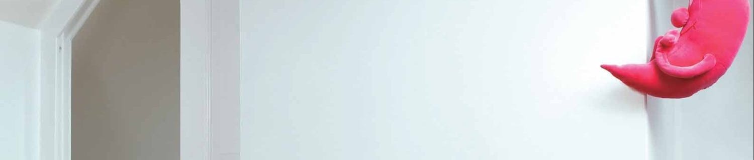 Dold skjutdörr under snedtaket